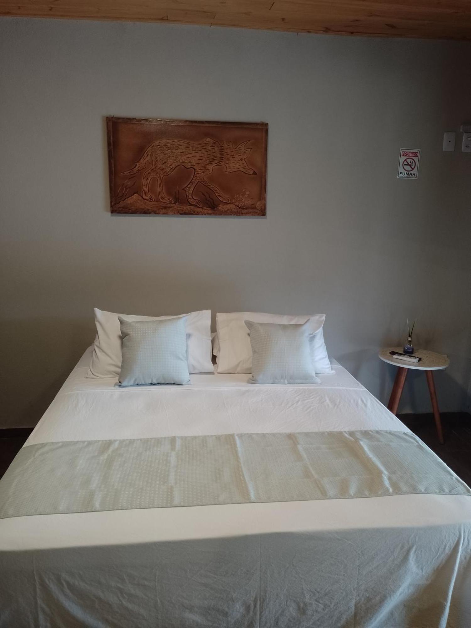Pousada Solar Da Canastra Delfinópolis Kamer foto
